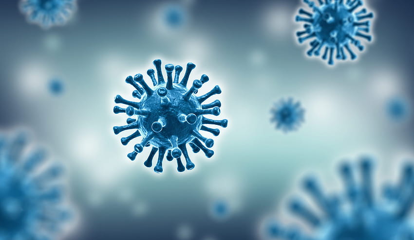 La ricerca suggerisce che l'immunità al coronavirus potrebbe durare decenni, immunologia Sfondo HD