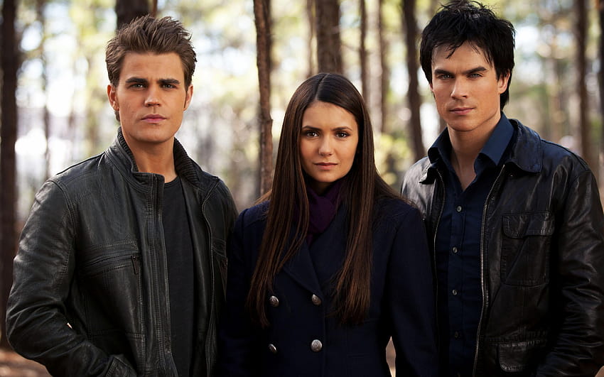 Damon Salvatore Elena Gilbert Stefan Salvatore Admirador de arte