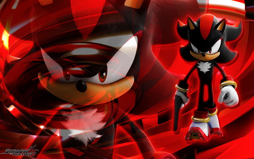 Sonic with flower Shadow the Hedgehog, minimalism, Sonic The Hedgehog, Sonic,  HD wallpaper