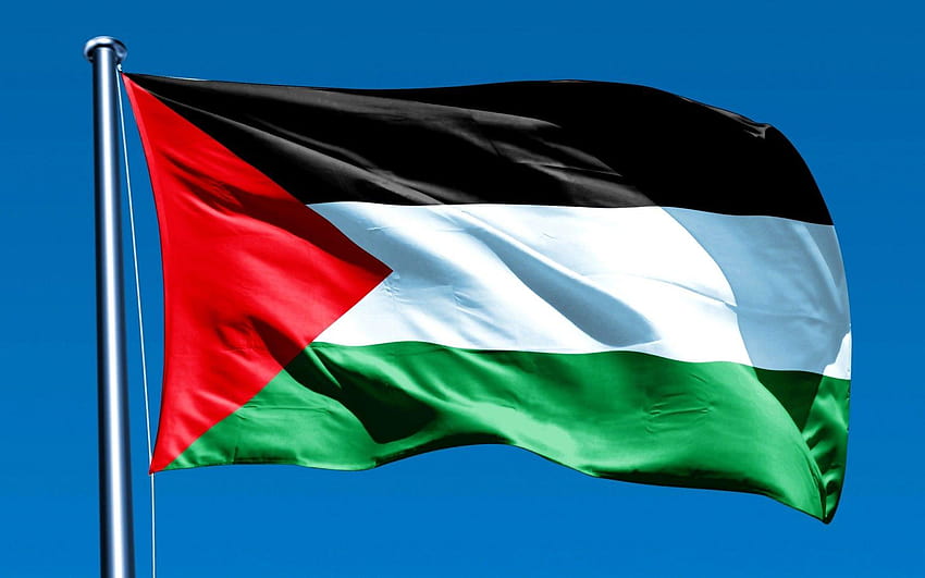 Bandiera della Palestina Sfondo HD