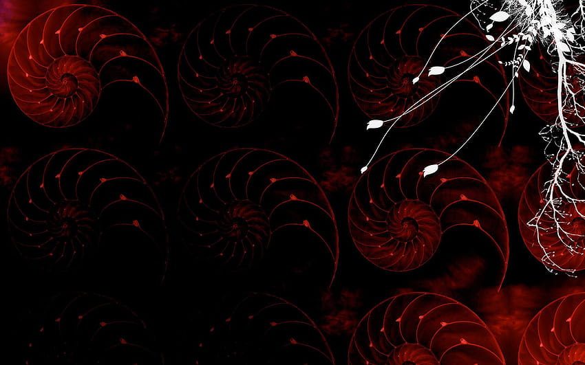 Best 3 Art Design Backgrounds on Hip, red artistic digital art HD wallpaper