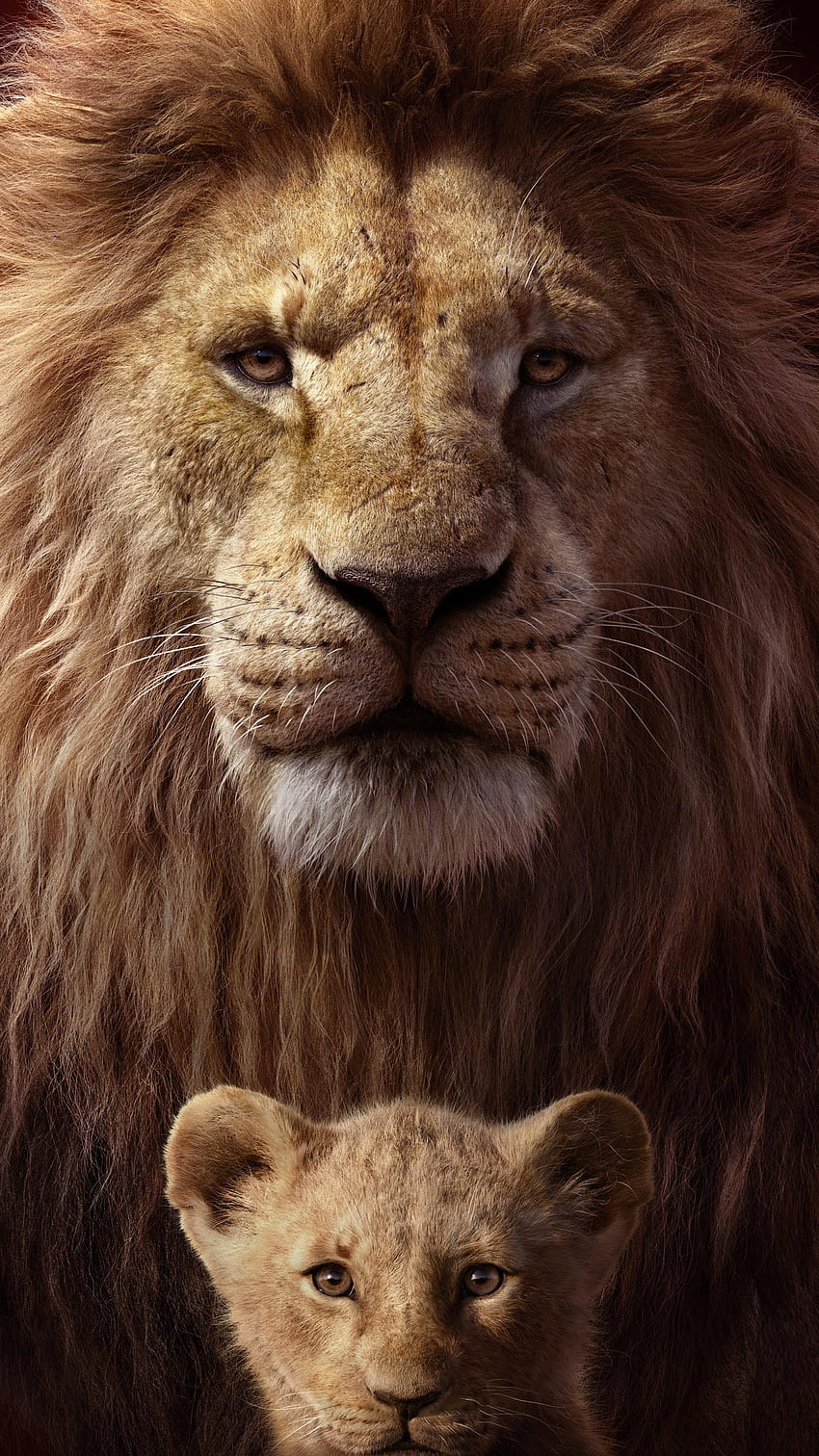O Rei Leão, rei leão 2019 Papel de parede de celular HD