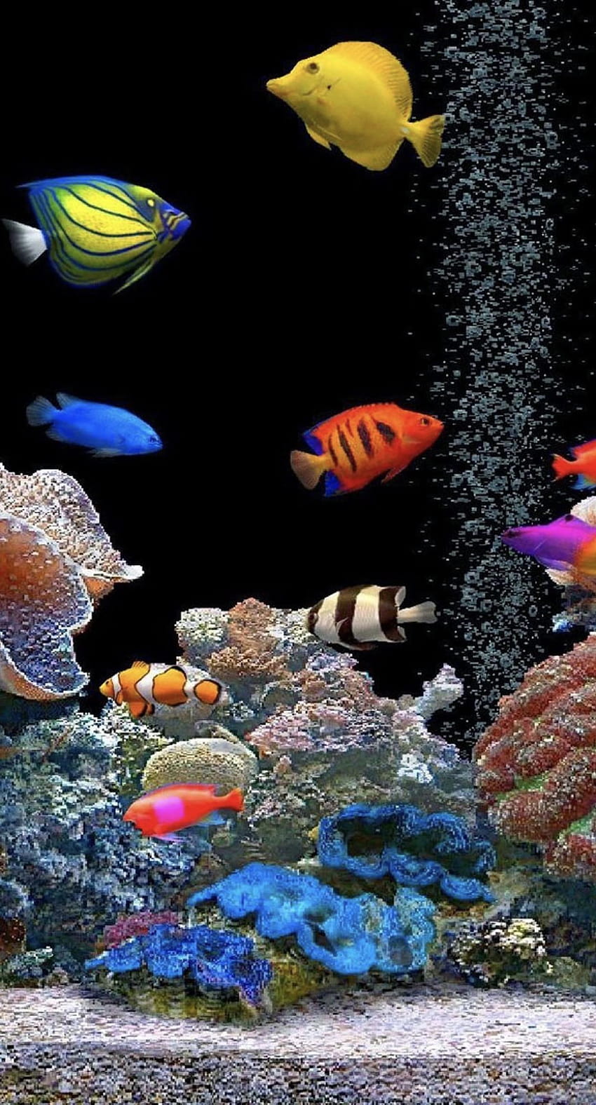 6 Fish Tank, fish aquarium HD phone wallpaper