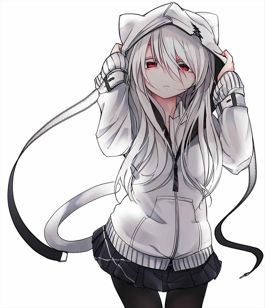 Anime cat girl white hair HD wallpapers | Pxfuel
