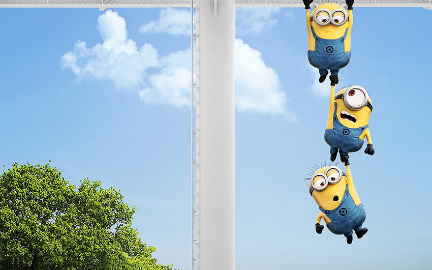 6 Minion Backgrounds, minions pc HD wallpaper