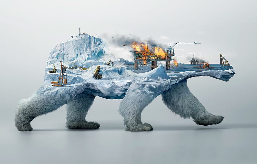 fire, collage, polar bear, Burov tower , section абстракции HD wallpaper