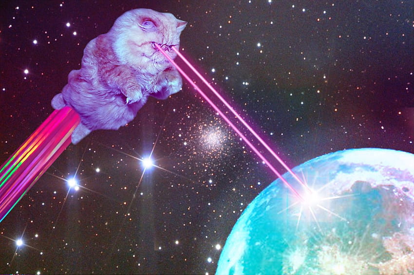cats in space with laser eyes, space cats HD wallpaper