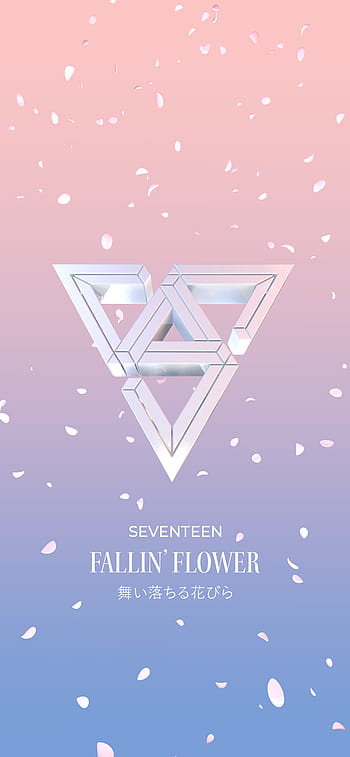 Seventeen 舞い落ちる花び Seventeen Fallin Flower Hd Wallpaper Pxfuel