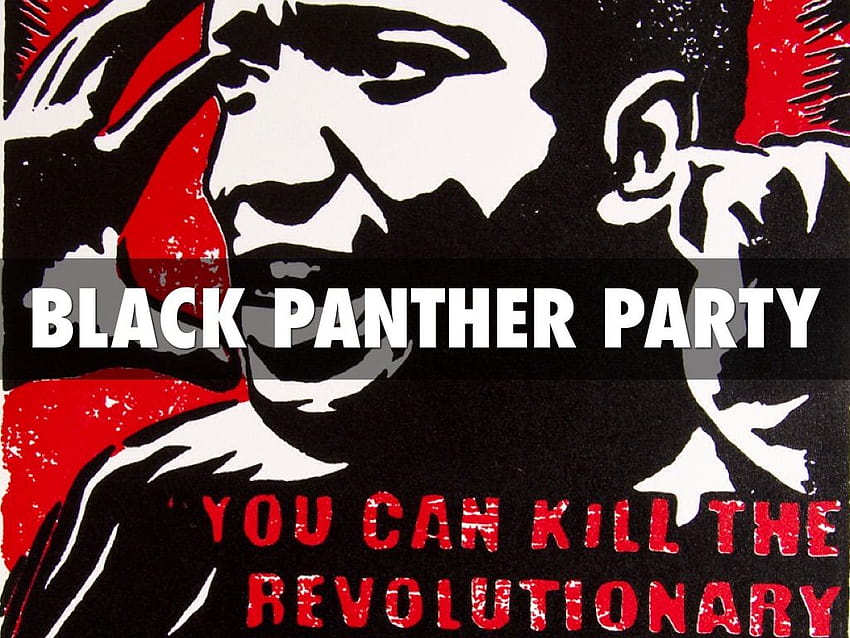 Best Of Logo Black Panther Party HD wallpaper