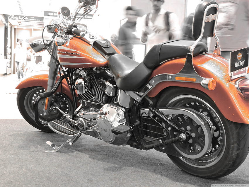 harley davidson fatboy lo fondo de pantalla