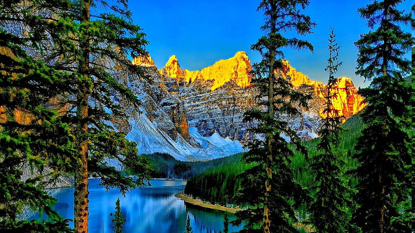 Lakes: Sunrise Forest Mountains Superb Trees Canada Lake Moraine, moraine lake sunrise HD wallpaper