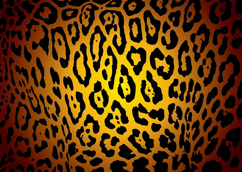 4 Leopard Print for, animal skin HD wallpaper | Pxfuel