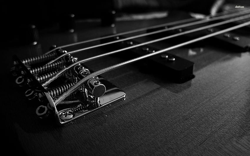 Bass Guitar Group, black guitar HD wallpaper