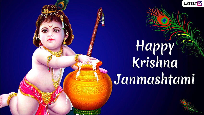 Janmashtami & Lord Krishna for, krishna janmashtami HD wallpaper