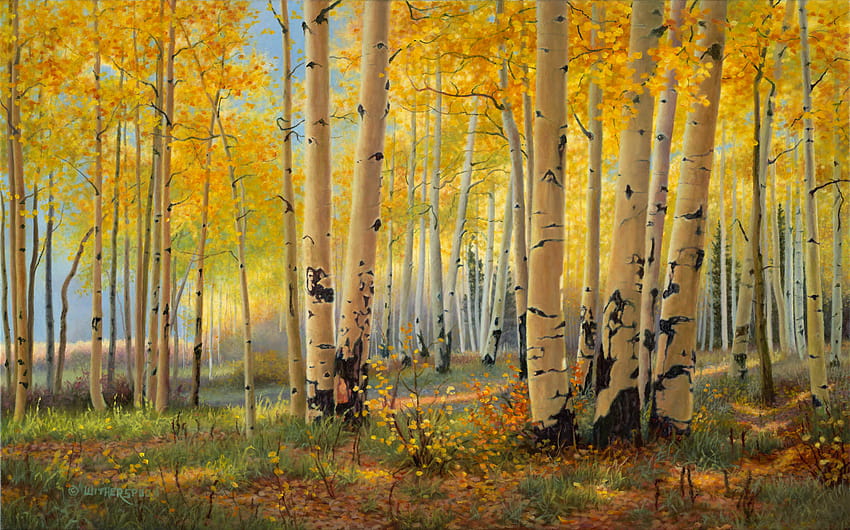 Birch grove in the autumn and, autumn drawn HD wallpaper