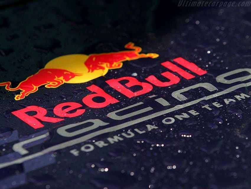 logo balap banteng merah Wallpaper HD