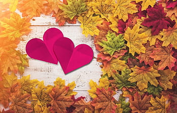 Temperaments of love  Autumn wallpaper hd Cute fall wallpaper Iphone wallpaper  fall