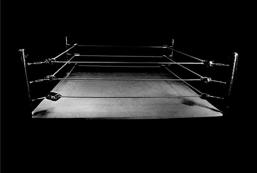 What boxing has taught me about business – Ryan Sheffer – Medium, boxing ring background HD wallpaper