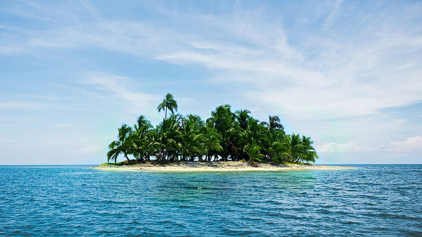 Caribbean Island, Holiday, Summer, Sea, Palm Tree, , Background, 064be9, summer sea HD wallpaper