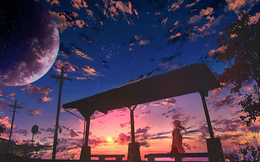 2560x1600 Starry Sky Anime Girl 2560x1600 Resolução, céus de anime papel de parede HD