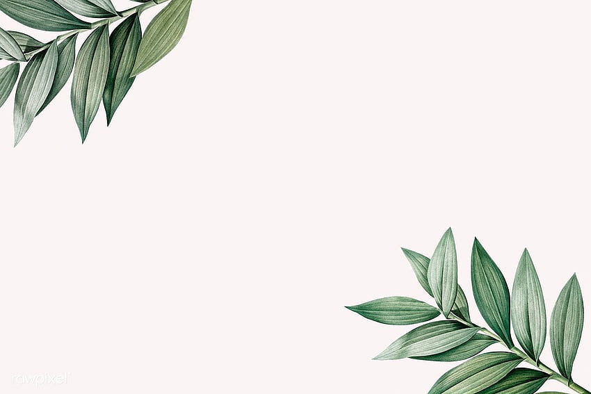 illustration premium des fonds de feuilles botaniques tropicales, esthétique des feuilles Fond d'écran HD