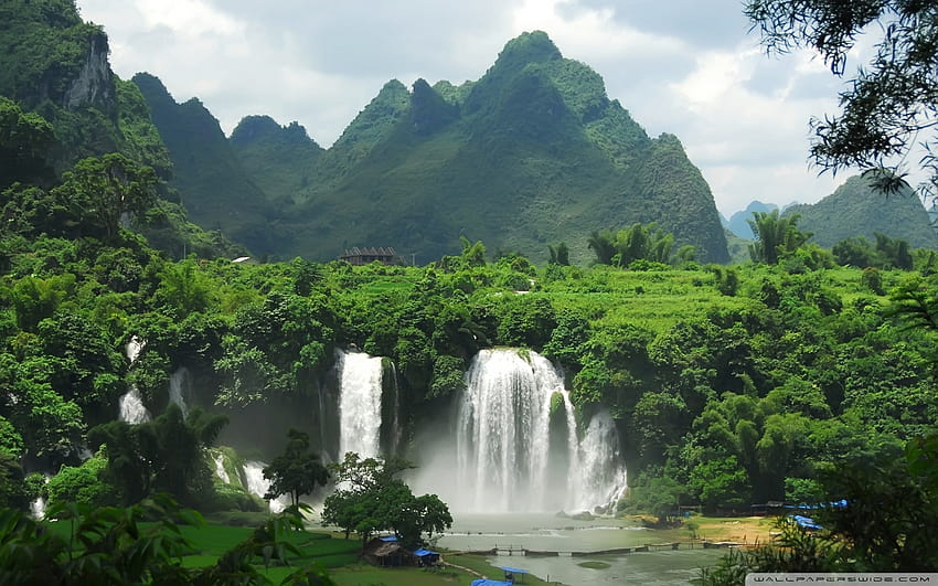 Waterfall In Tropical Forest Ultra Backgrounds para U TV: Widescreen & UltraWide & Laptop, selva tropical papel de parede HD