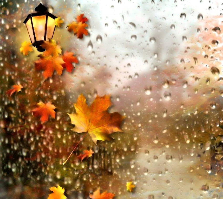 Jesienny deszcz, deszczowe jesienne dni Tapeta HD