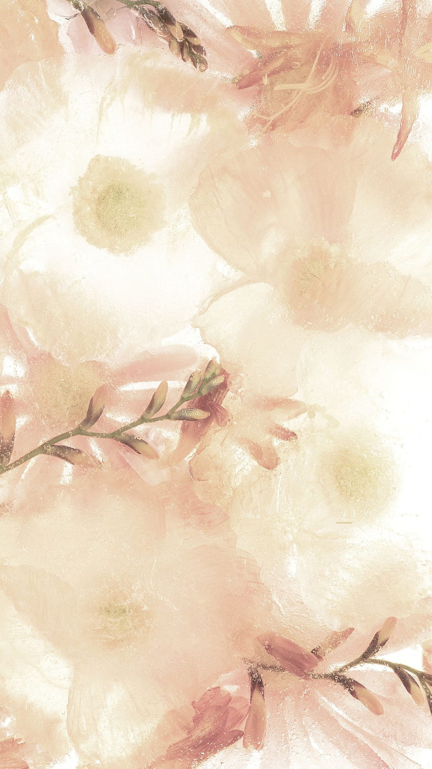 Móvil flor de anémona beige, estética de teléfono beige fondo de pantalla del teléfono