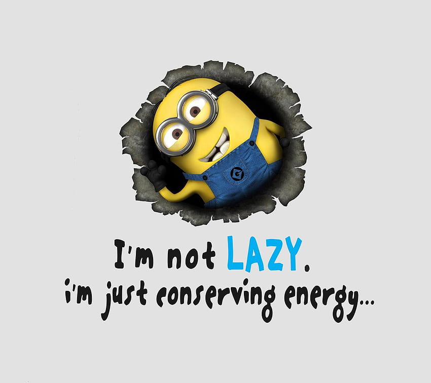 Not lazy just conserving energy HD wallpaper