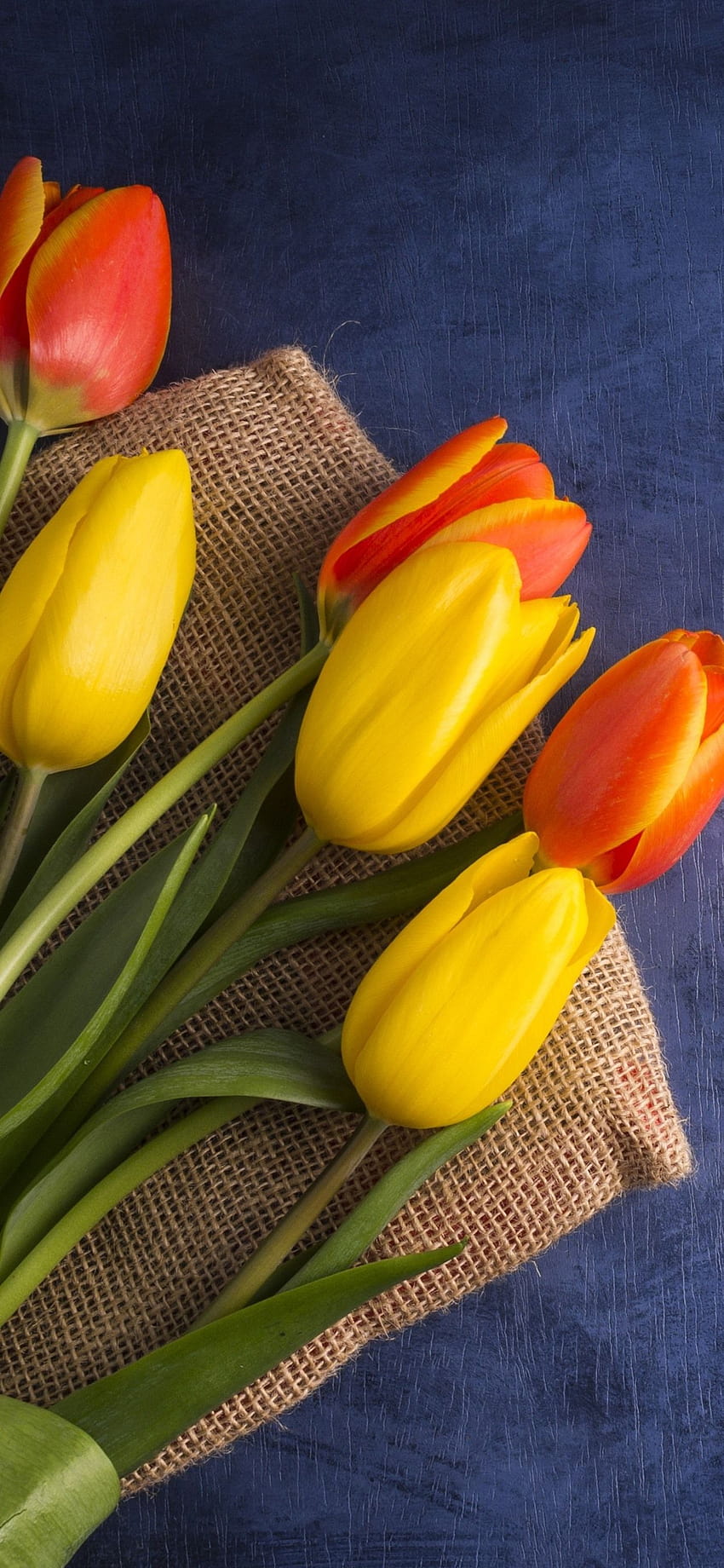Gelbe und orangefarbene Tulpen, Blumenstrauß 1242x2688 iPhone 11 Pro/XS Max , Hintergrund, orangefarbener Tulpenstrauß HD-Handy-Hintergrundbild