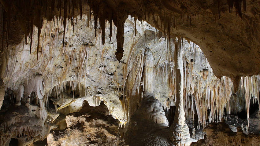 Carlsbad Caverns · National Parks Conservation Association, carlsbad caverns national park HD wallpaper