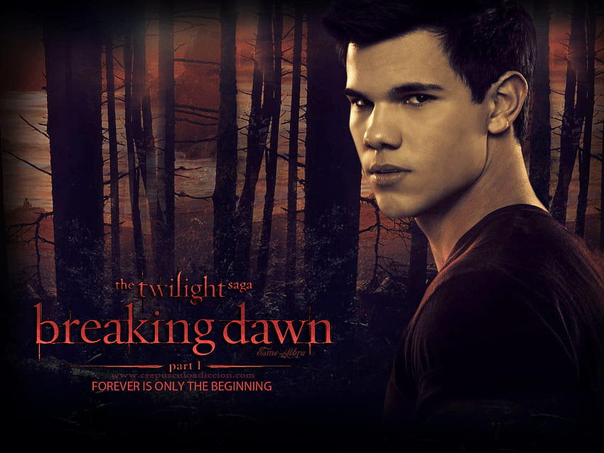 Twilight Breaking Dawn Group, crépuscule pour toujours Fond d'écran HD