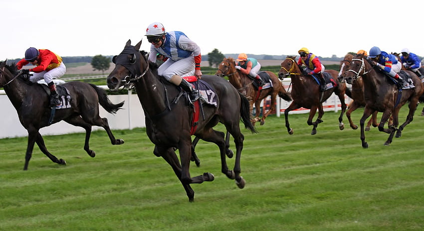 Horse Racing Race Equestrian Sport Jockey Horses, horse race HD wallpaper
