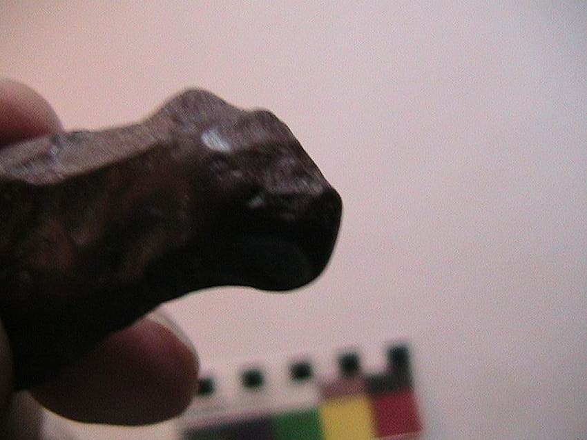 Archaeology of Portable Rock Art: Feline figure of head and neck may be portrayed in finger held pebble resembling a scimitar cat profile HD wallpaper