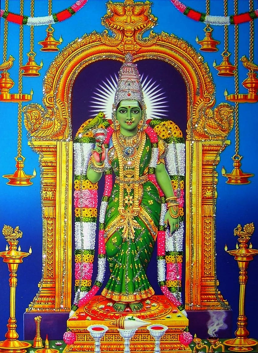 Goddess Madurai Meenakshi Amman & HD phone wallpaper | Pxfuel