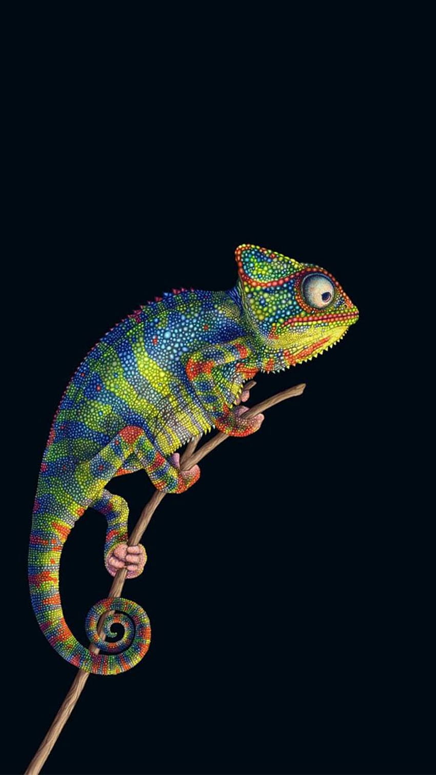 カメレオン by georgekev, chameleon iphone HD電話の壁紙