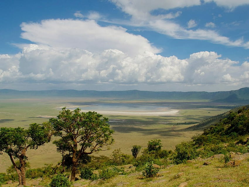 Ngorongoro Krateri, ngorongoro koruma alanı HD duvar kağıdı