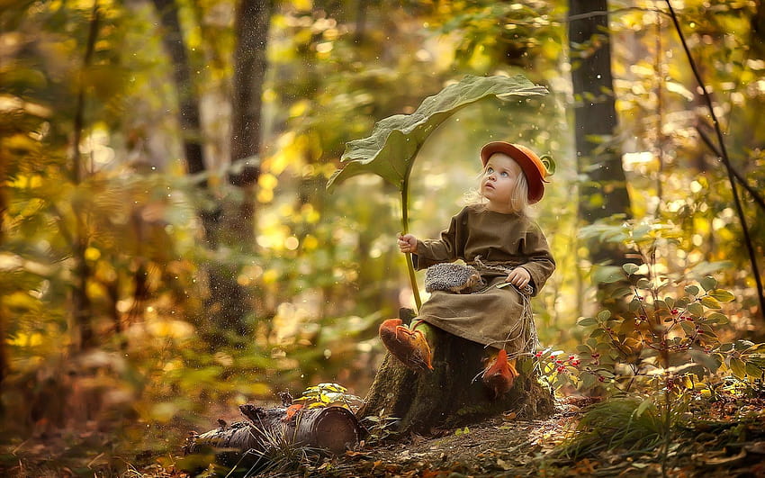 Cute little girl in forest, hedgehog, leaf, little girl forest HD wallpaper