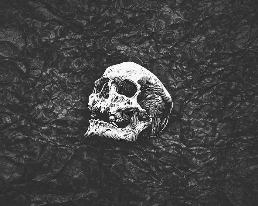Human Skull , Black, White, Abstract • For You, skeleton skull HD wallpaper