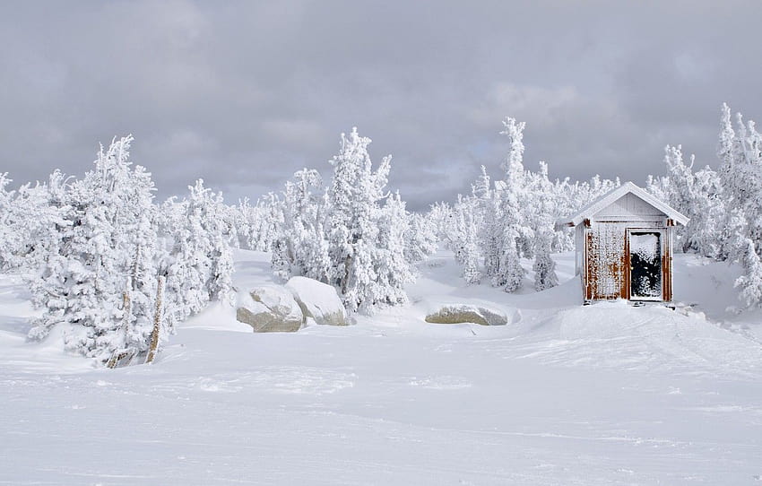 house, sky, trees, winter ...goodfon, snow effect HD wallpaper