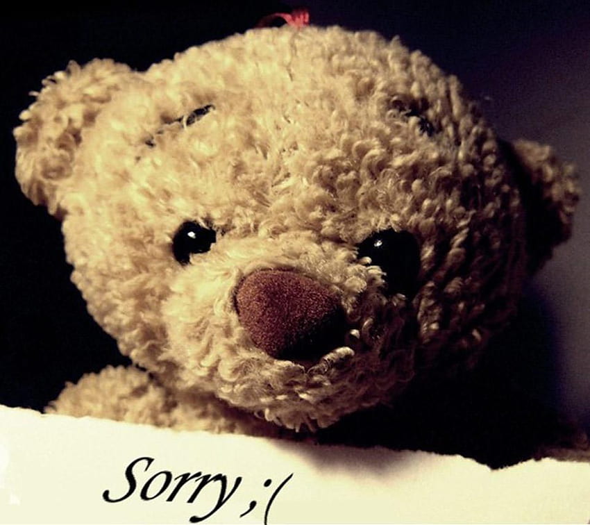 Teddy bear crying HD wallpapers | Pxfuel