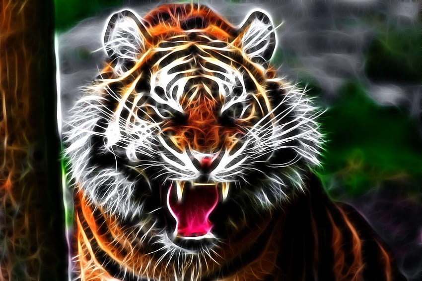 Tiger face, Aggression, Teeth, Lines ...tokkoro HD wallpaper
