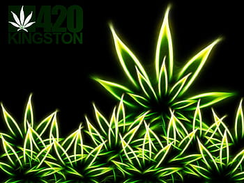 Clearing the air on the origins of 420, the unofficial national