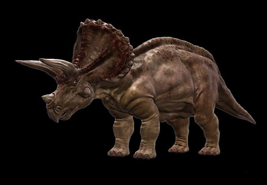 Verzeichnis der /Bibliothek/ /Diashows/Galerie/Fauna/Dinosaurier, Triceratops HD-Hintergrundbild