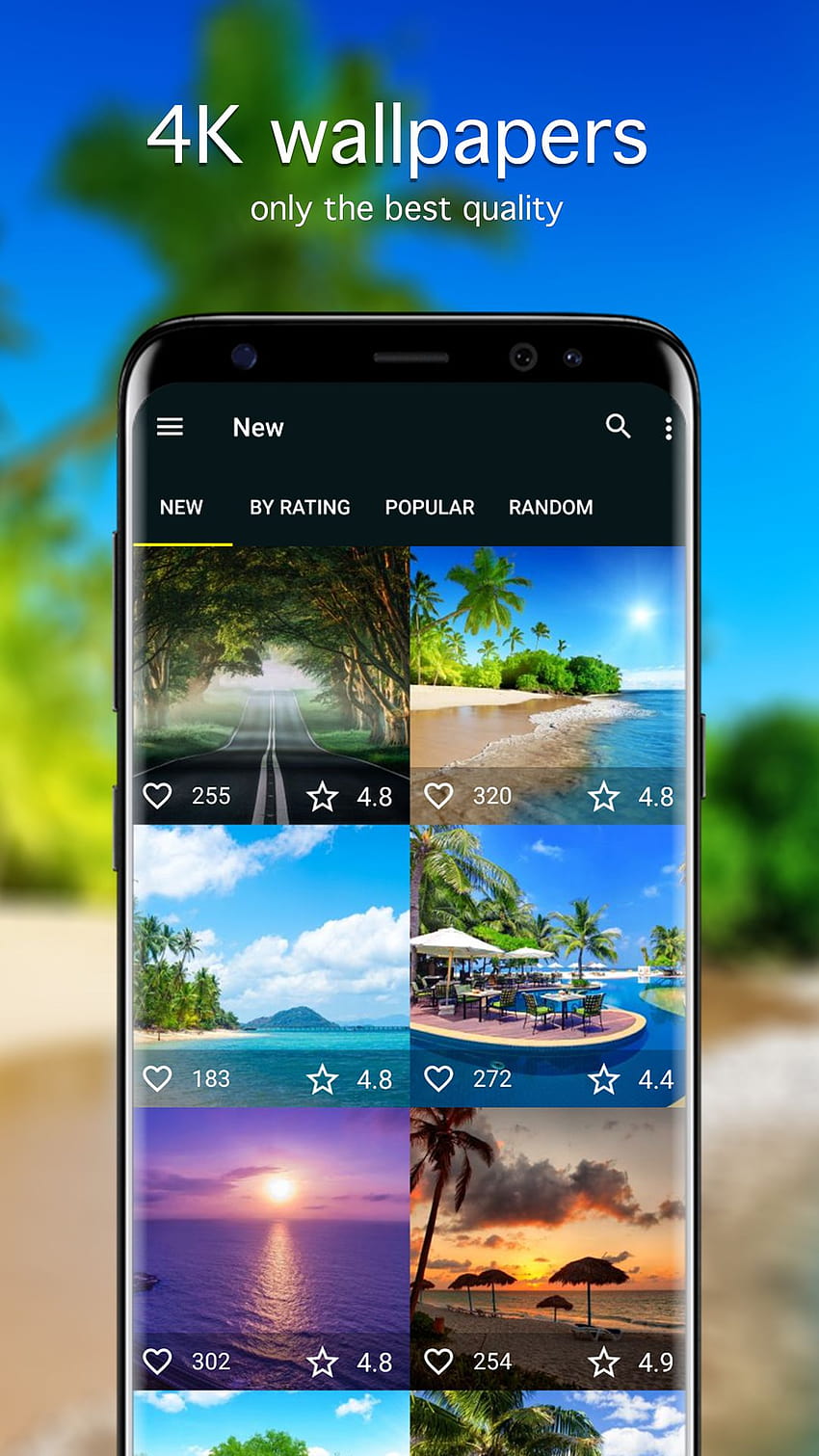 Summer & Backgrounds apps: Appstore for Android HD phone wallpaper | Pxfuel