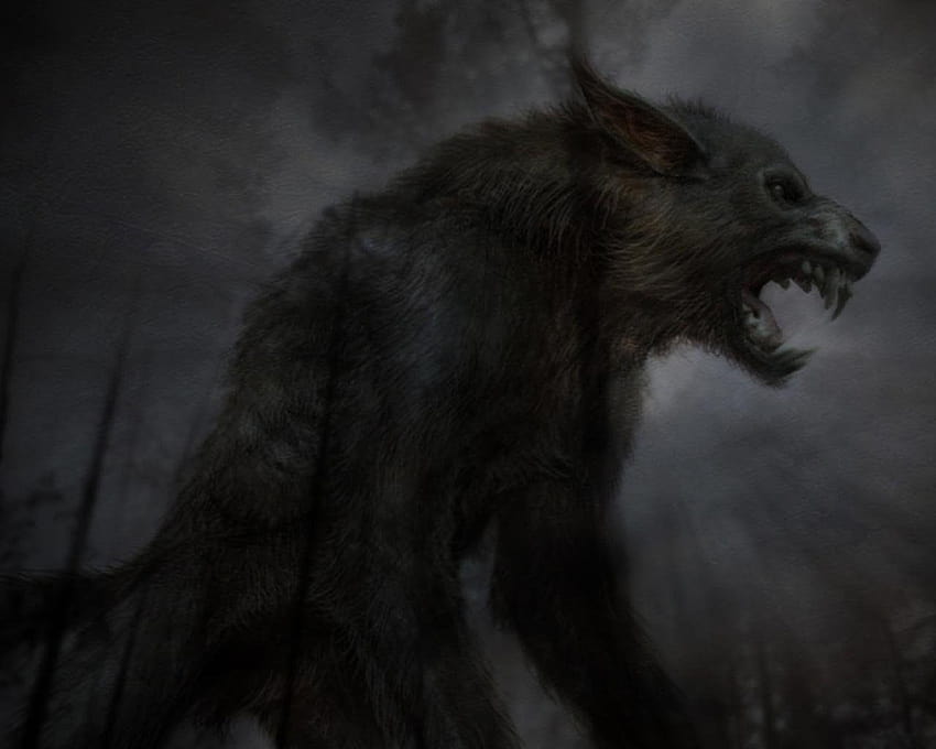 UK Paranormal Events: Ghost sightings highest in 25 years, hellhound HD wallpaper