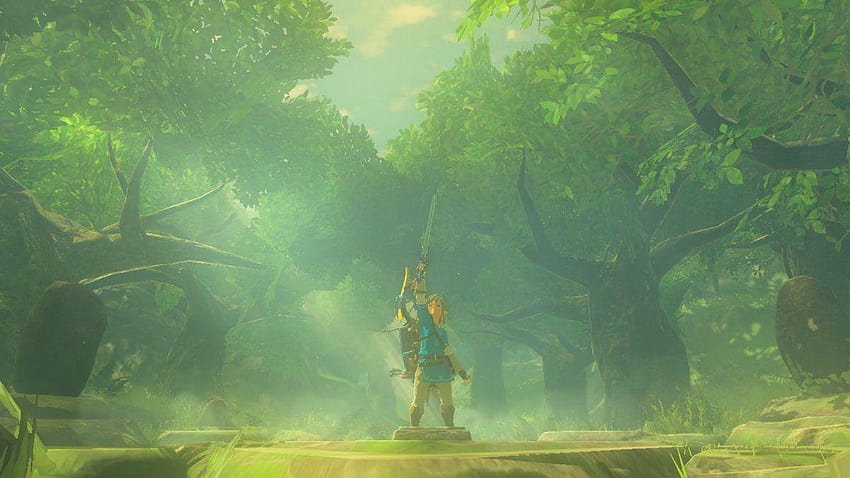 BOTW] requesting higher quality of link holding the master, hyrule sword HD wallpaper
