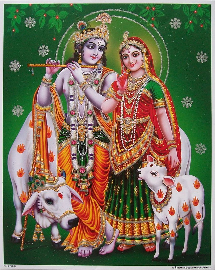 Radha Krishna und Kühe, Krishna mit Kuh HD-Handy-Hintergrundbild