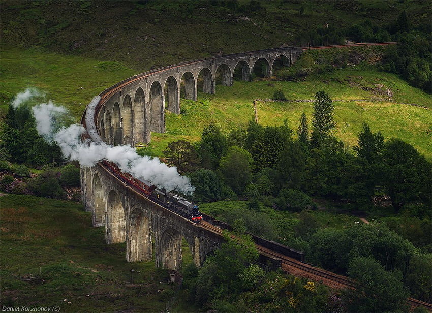 Hogwarts Express Hogwarts and on Dog, harry potter train HD wallpaper