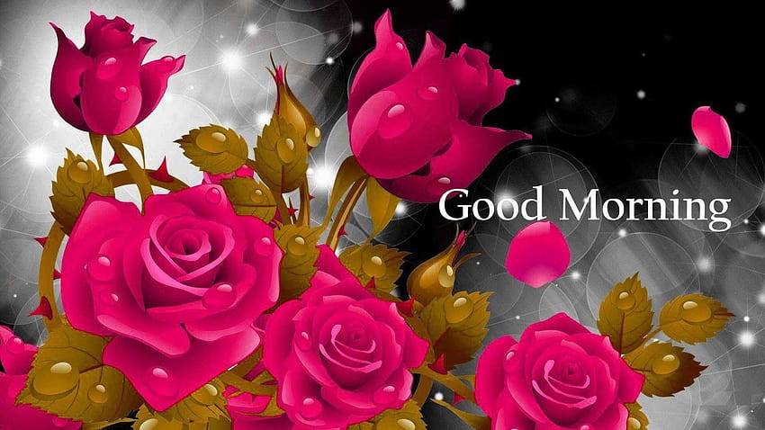 Good Morning with Rose, good morning rose HD wallpaper